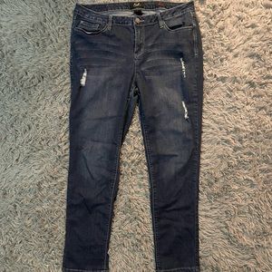 Earl brand skinny distressed jeans